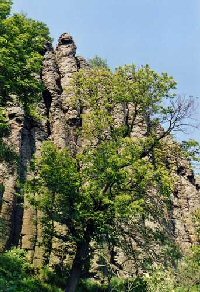 Szent György-hegy/Basalt columns